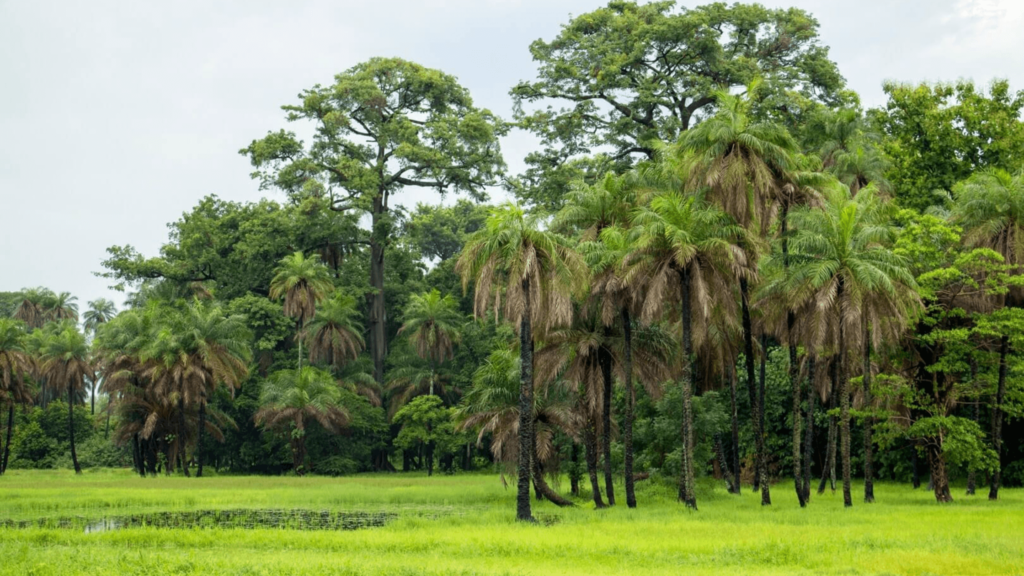 Comment visiter le Sénégal lors d'un circuit authentique ?