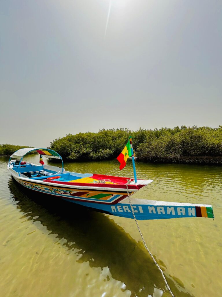 Île cachée du Delta du Saloum au Sénégal